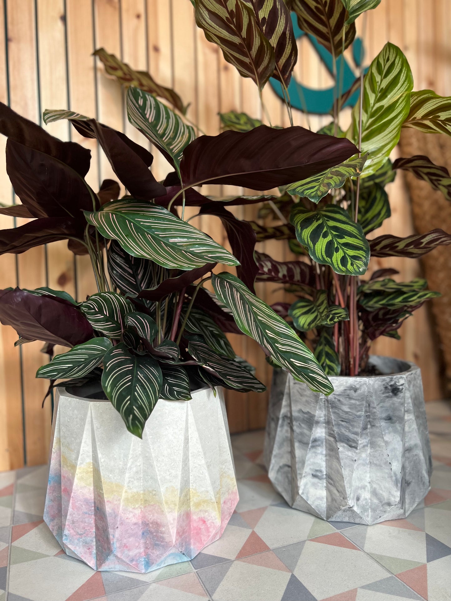 XXL Star Pot