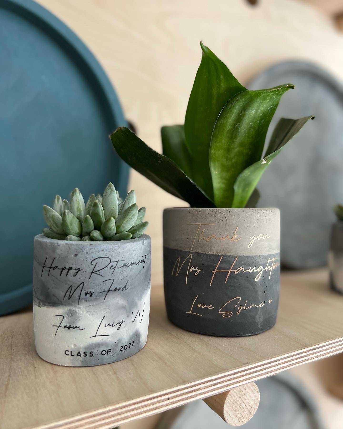 teacher gift plant pot Personalised Teacher 'Thank You' Gift with Plant – Concrete & Cacti