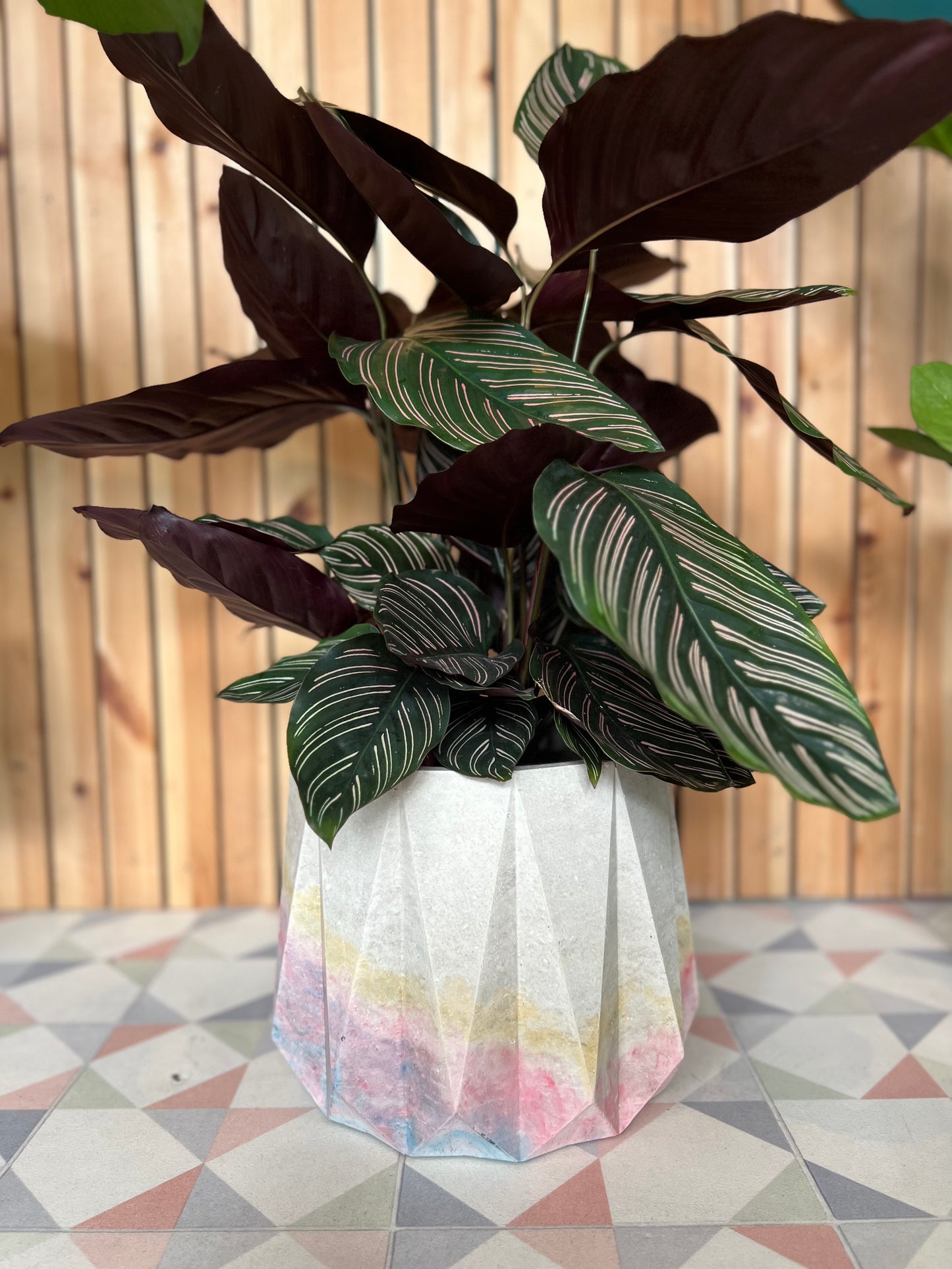 XXL Star Pot