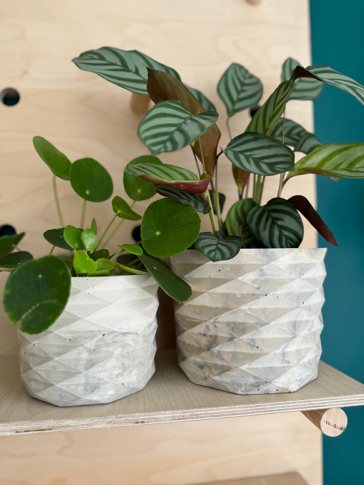 The Geometric Pot