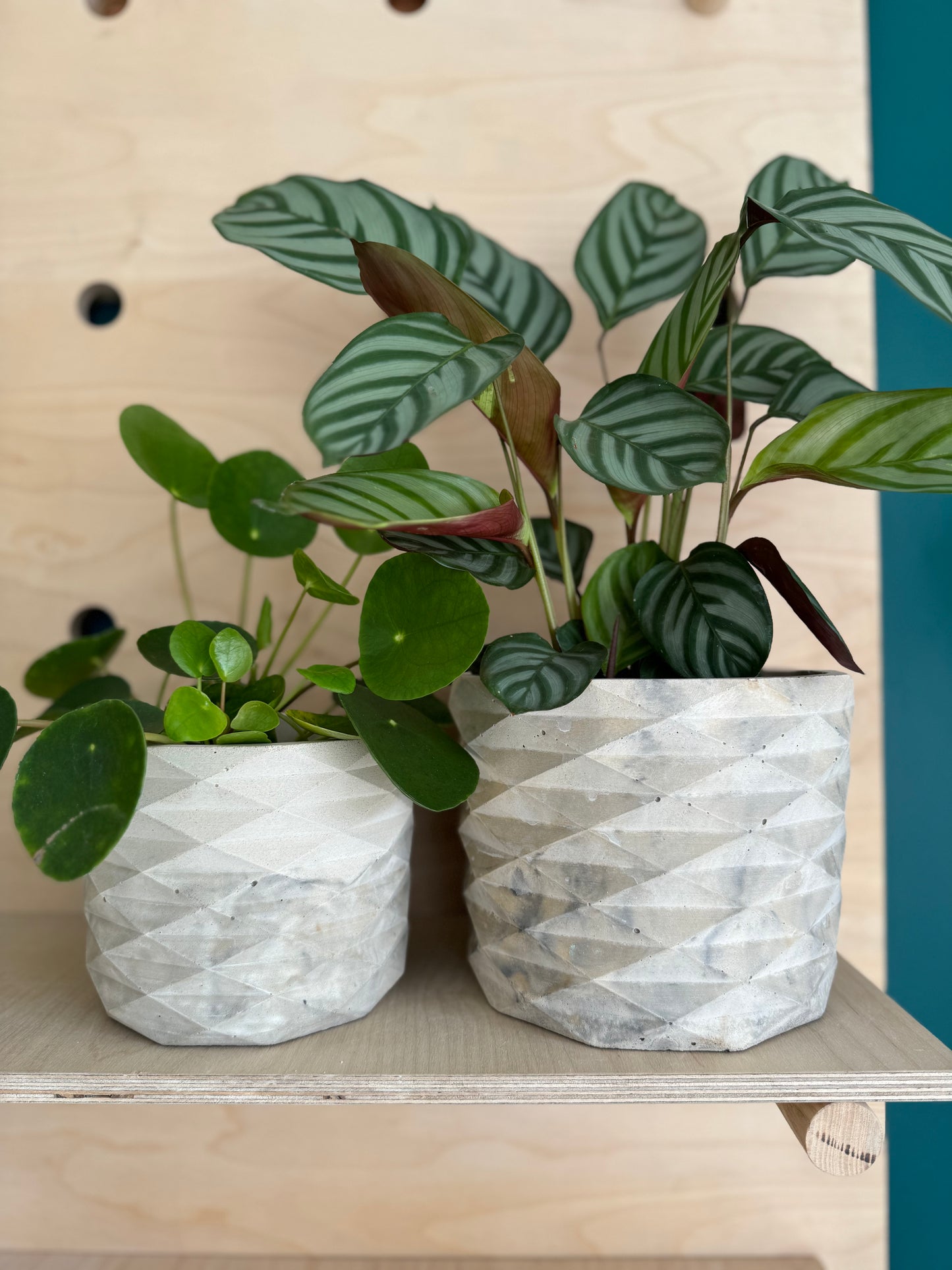 The Geometric Pot
