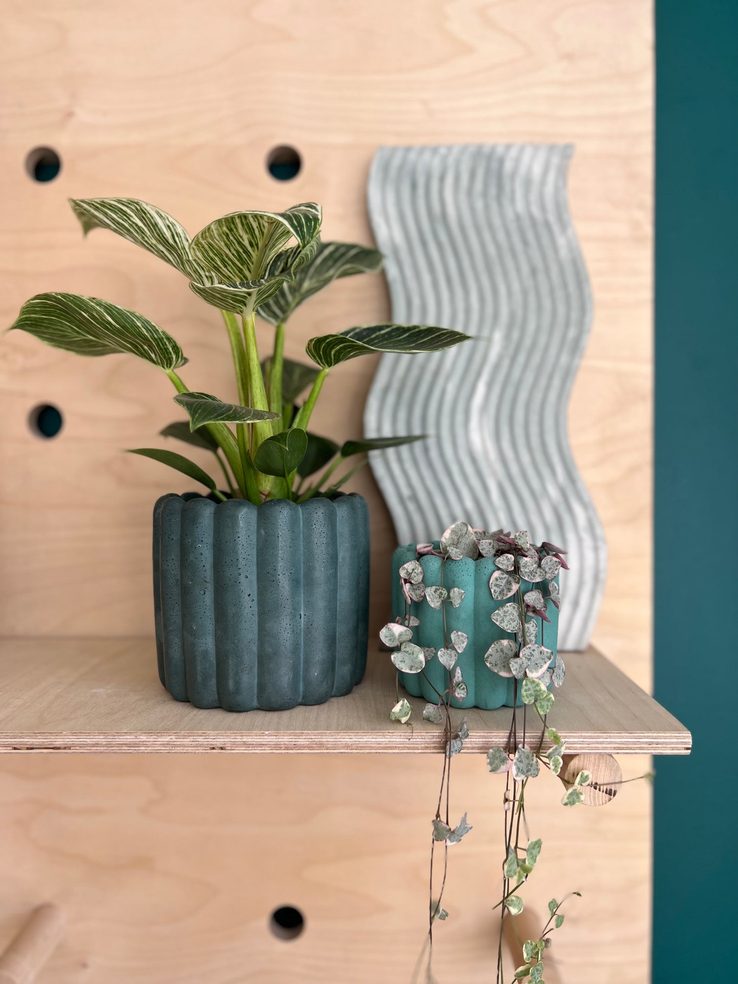 The Ripple Pot
