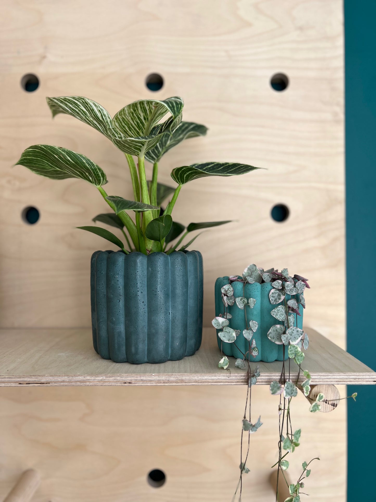 The Ripple Pot
