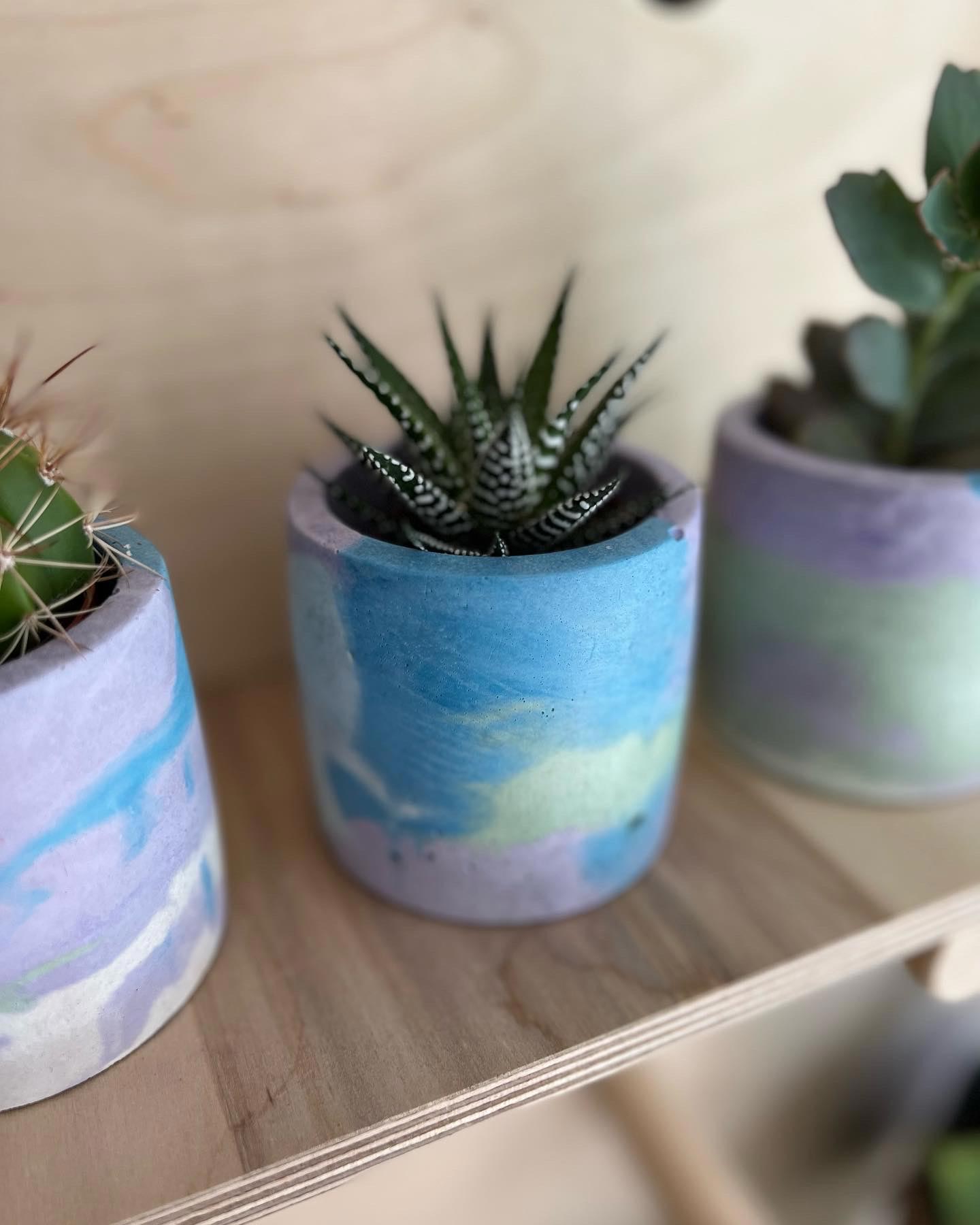 pastel plant pots MIDI Pastel Pot – Concrete & Cacti