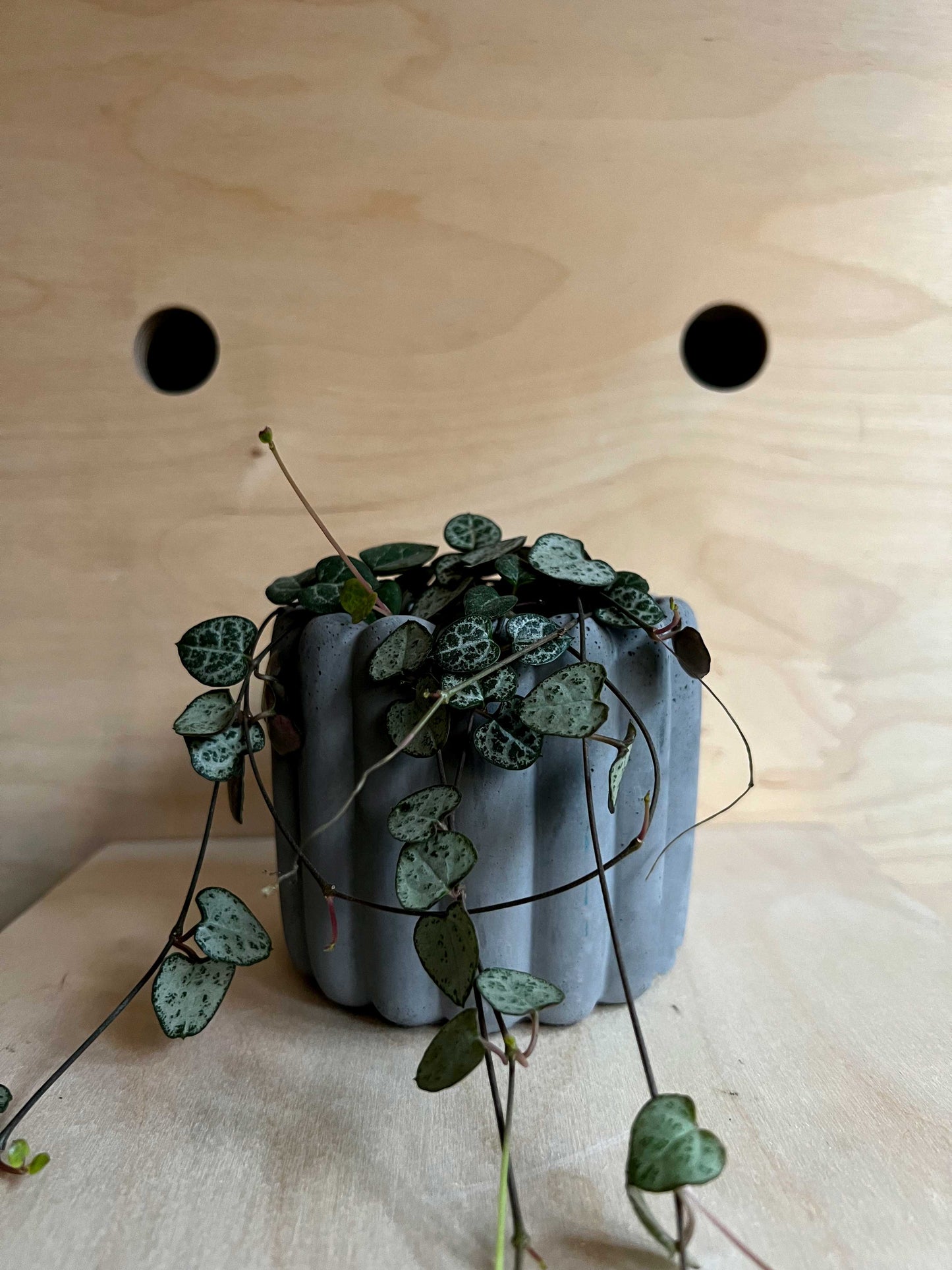 The Ripple Pot