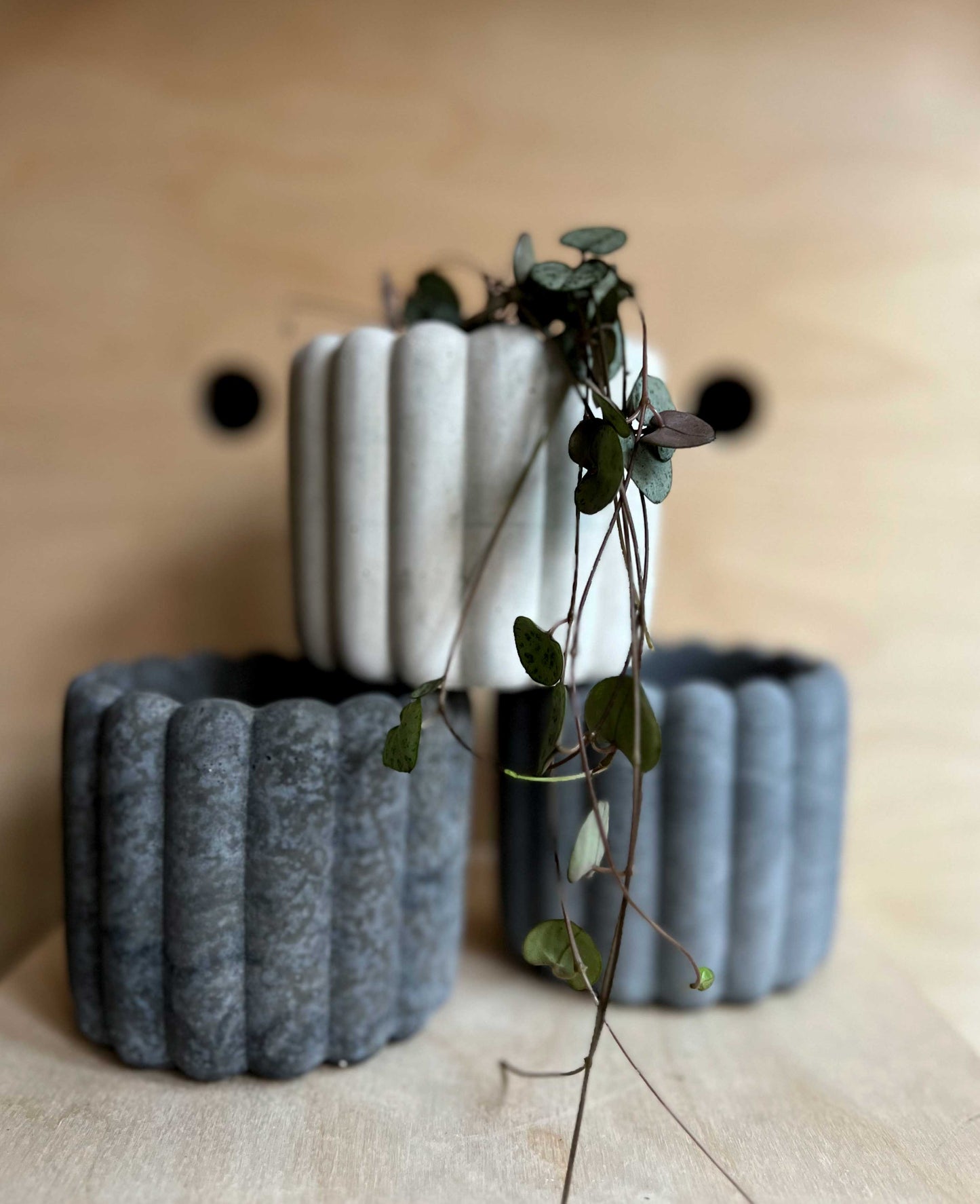 The Ripple Pot