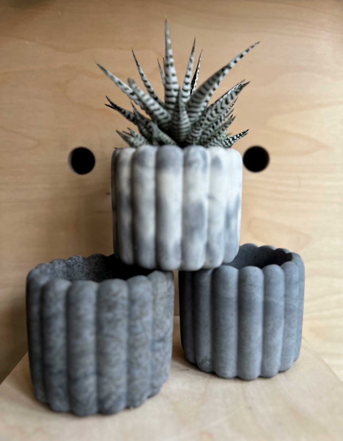 The Ripple Pot