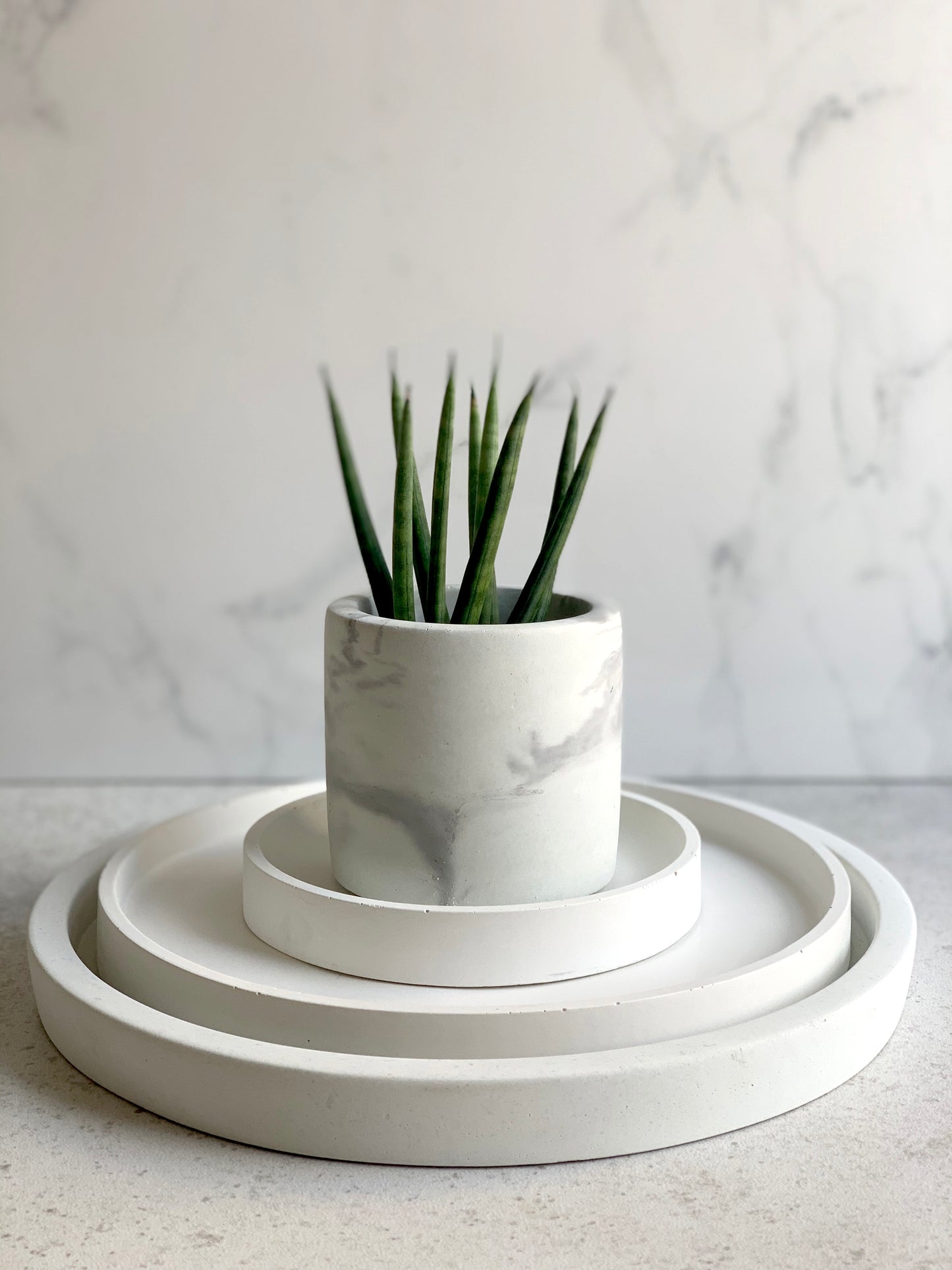 Chunky Concrete Tray