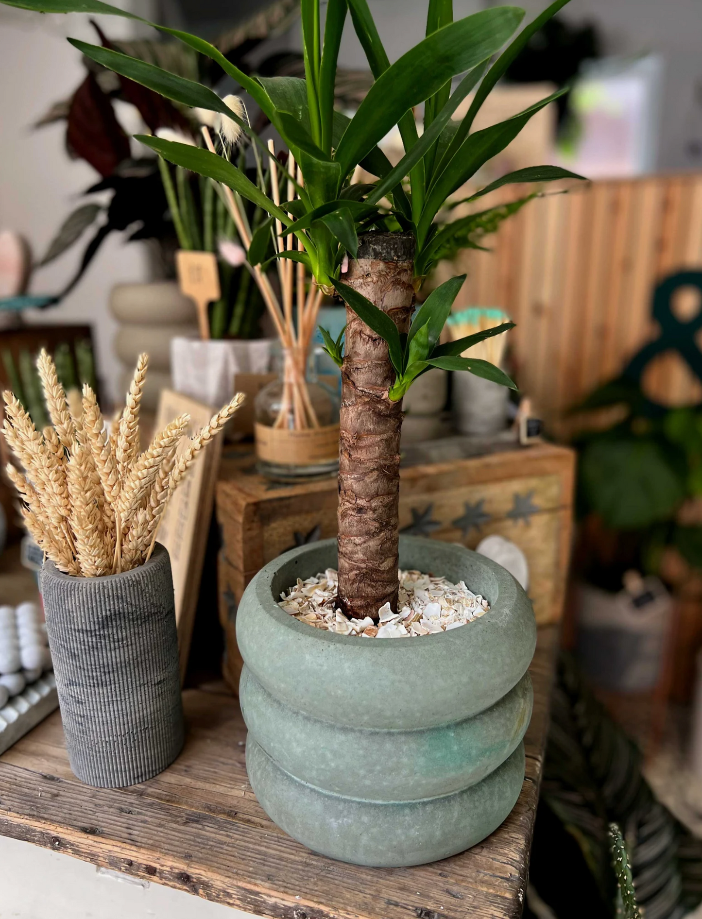 XL Wave Planter