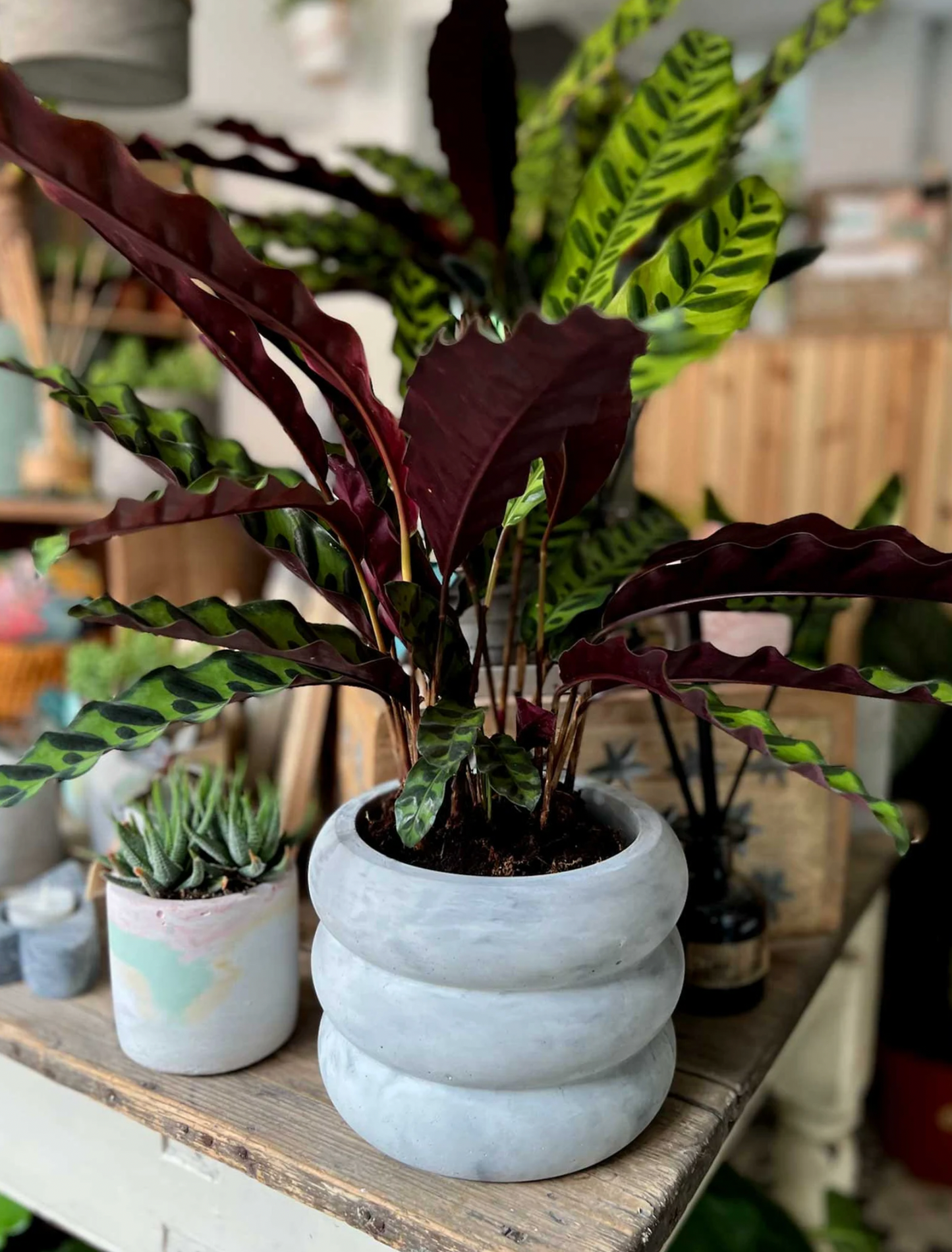 XL Wave Planter