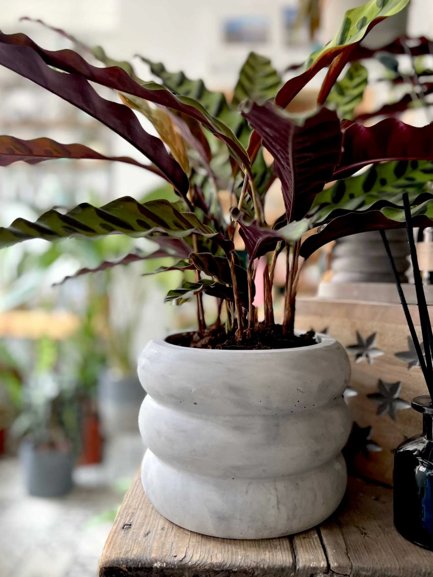 XL Wave Planter