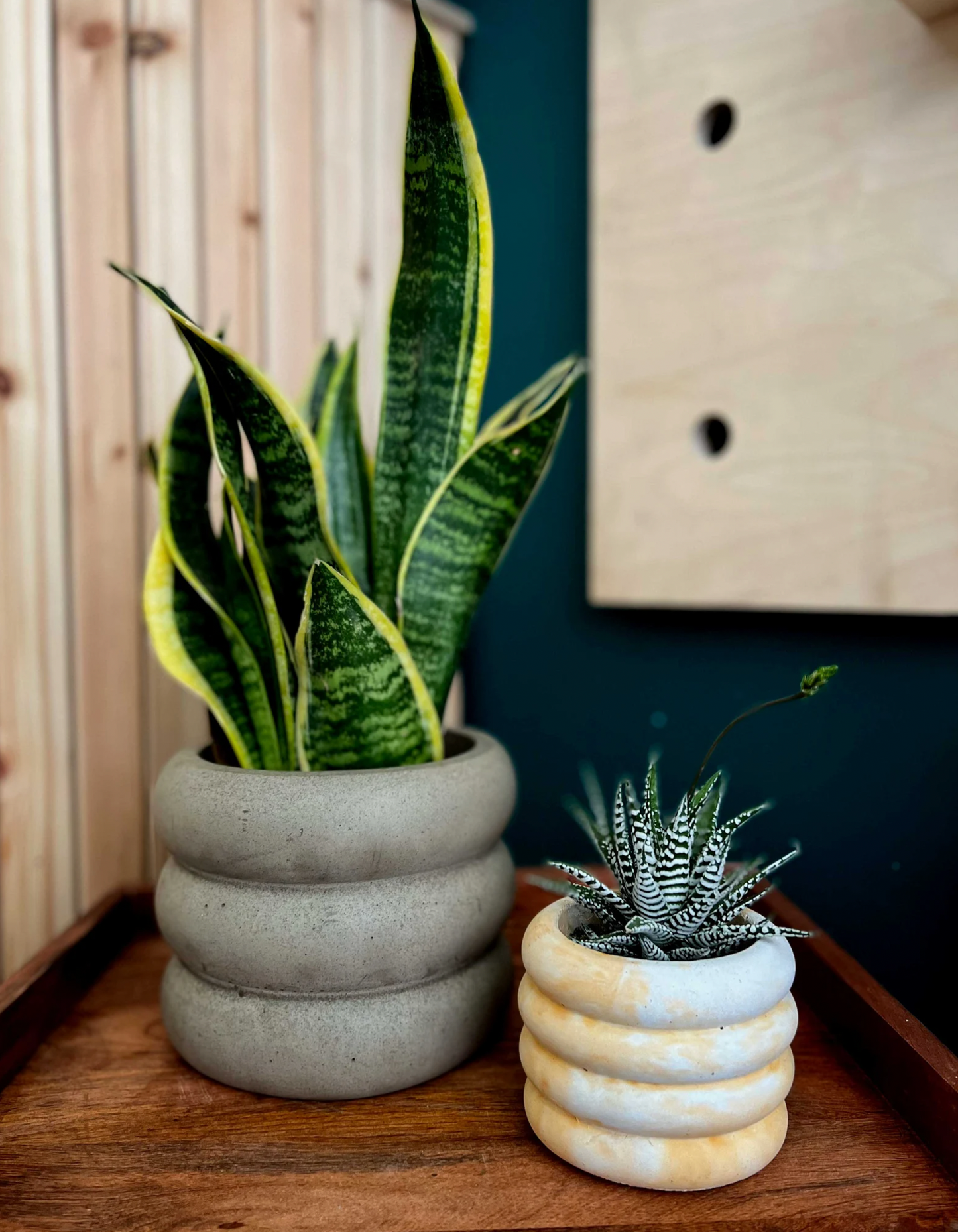 XL Wave Planter