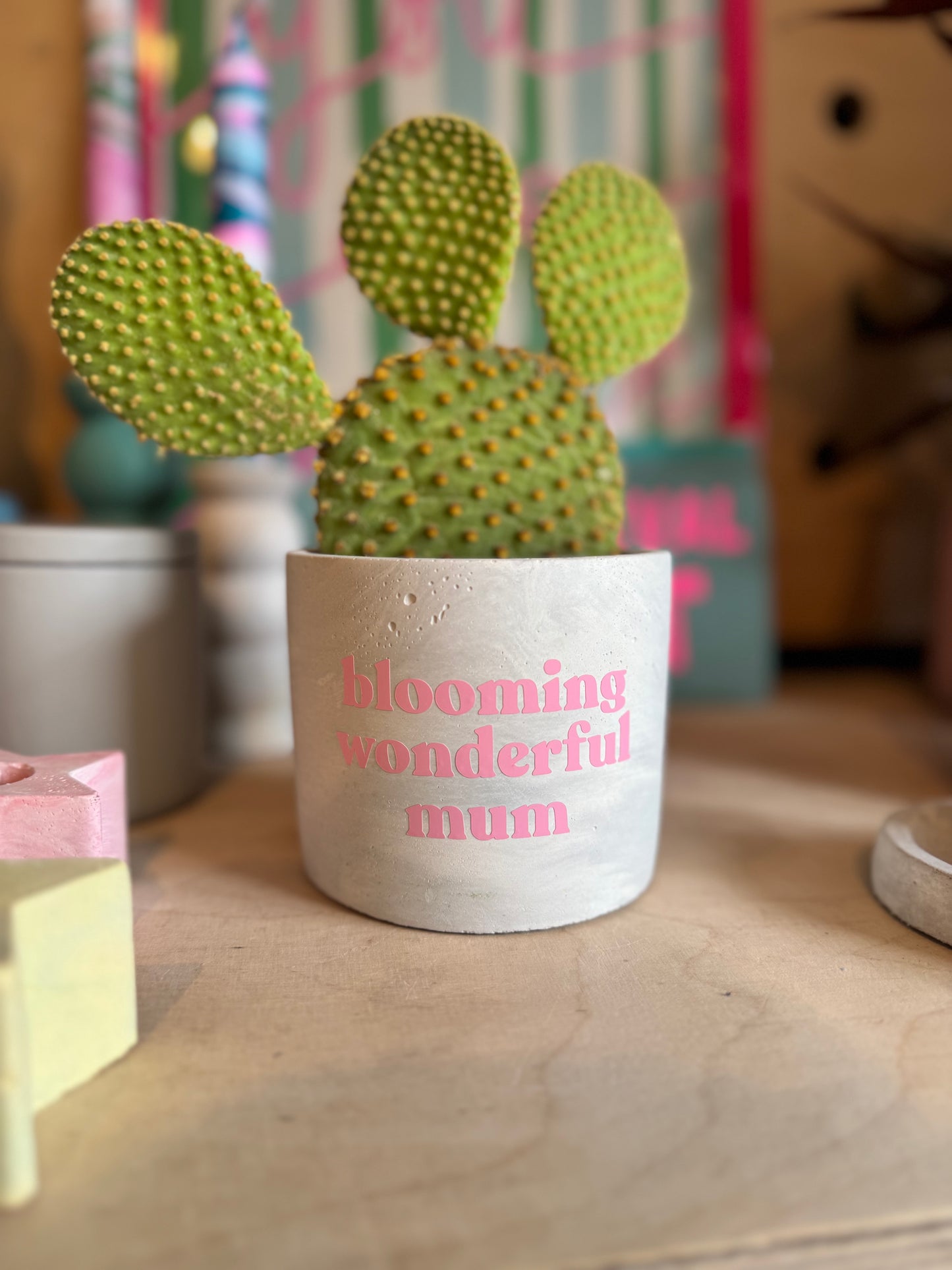 Personalised Pot & Plant