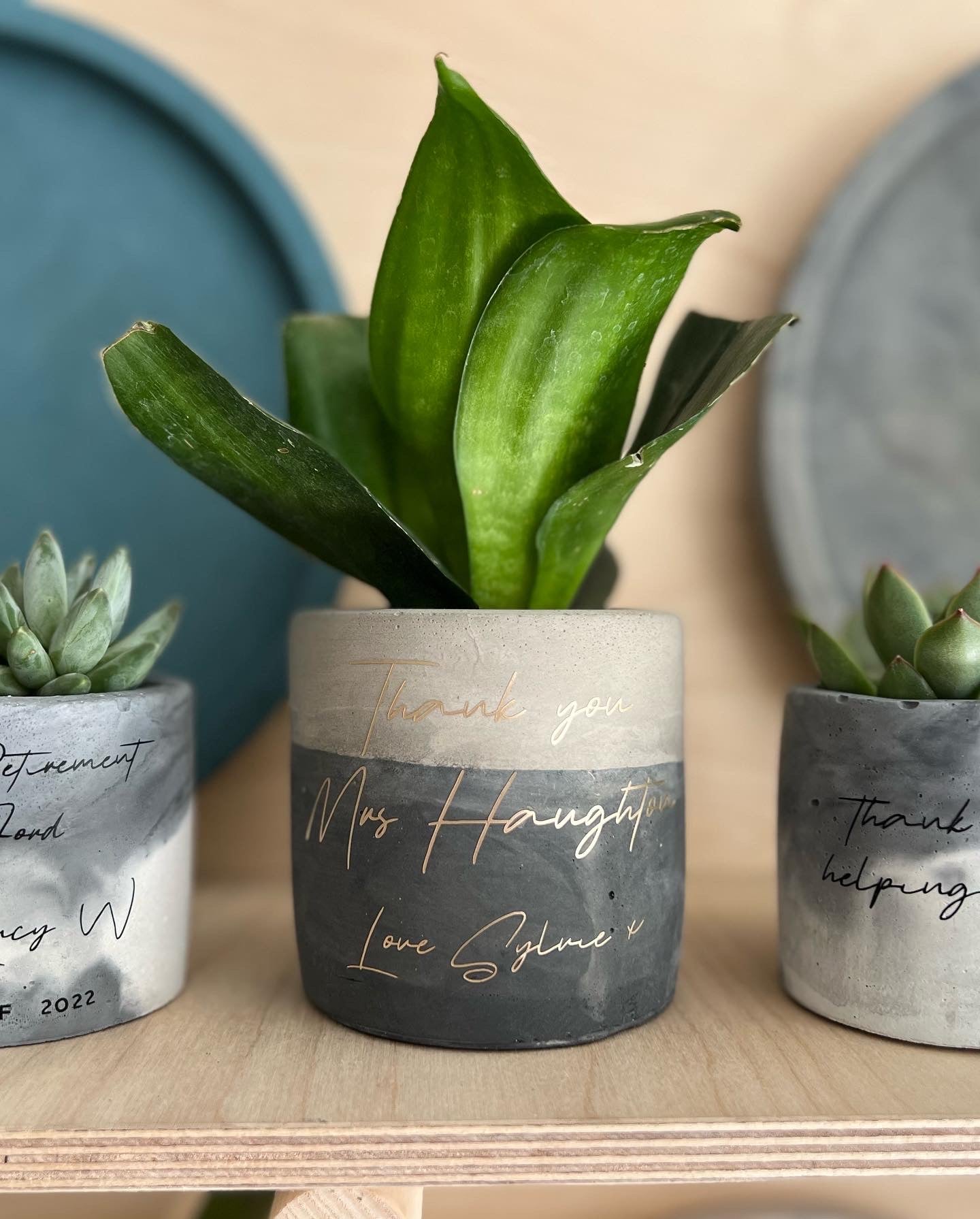 Personalised Teacher 'Thank You' Gift with Plant