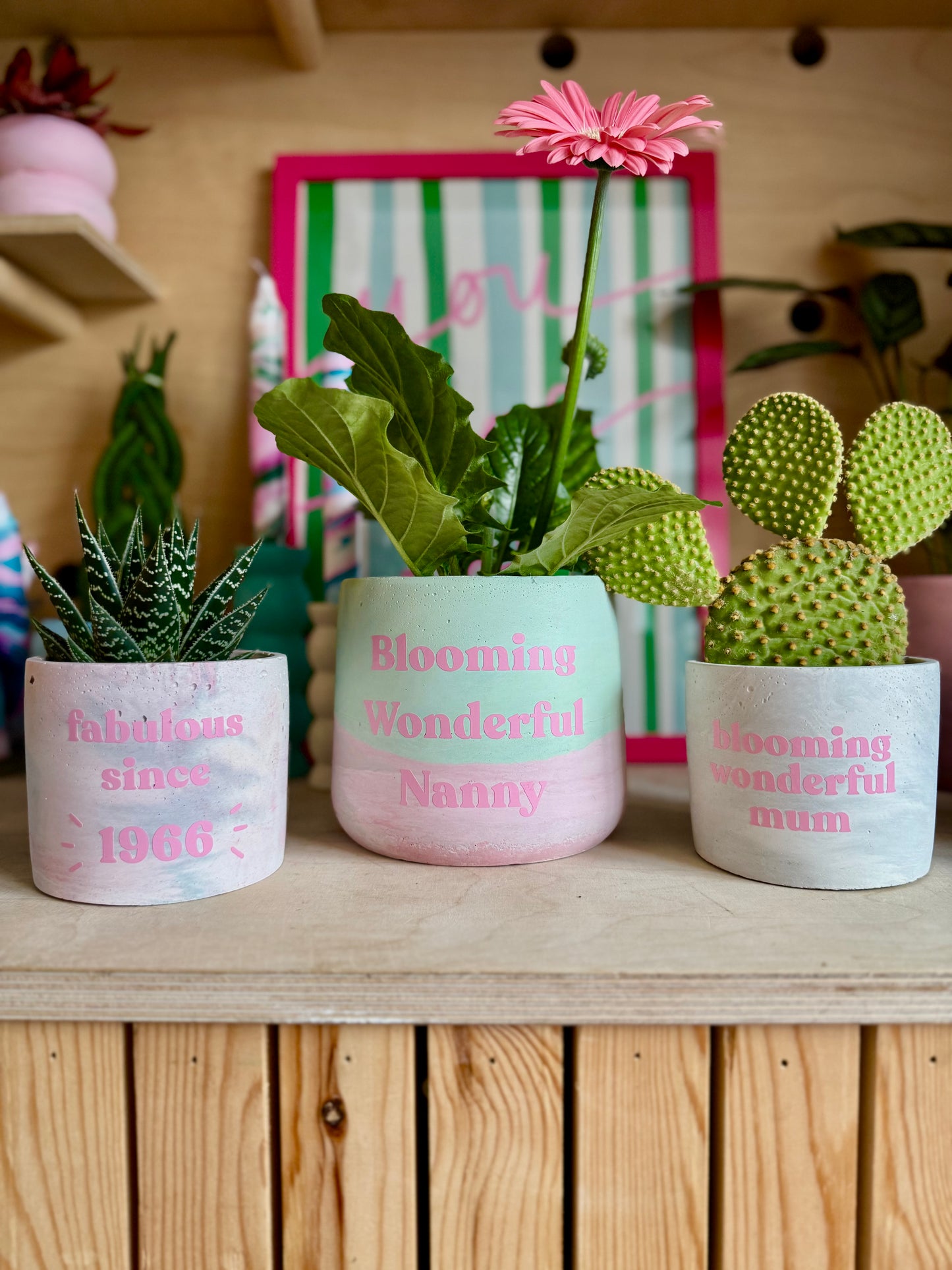 Personalised Pot & Plant