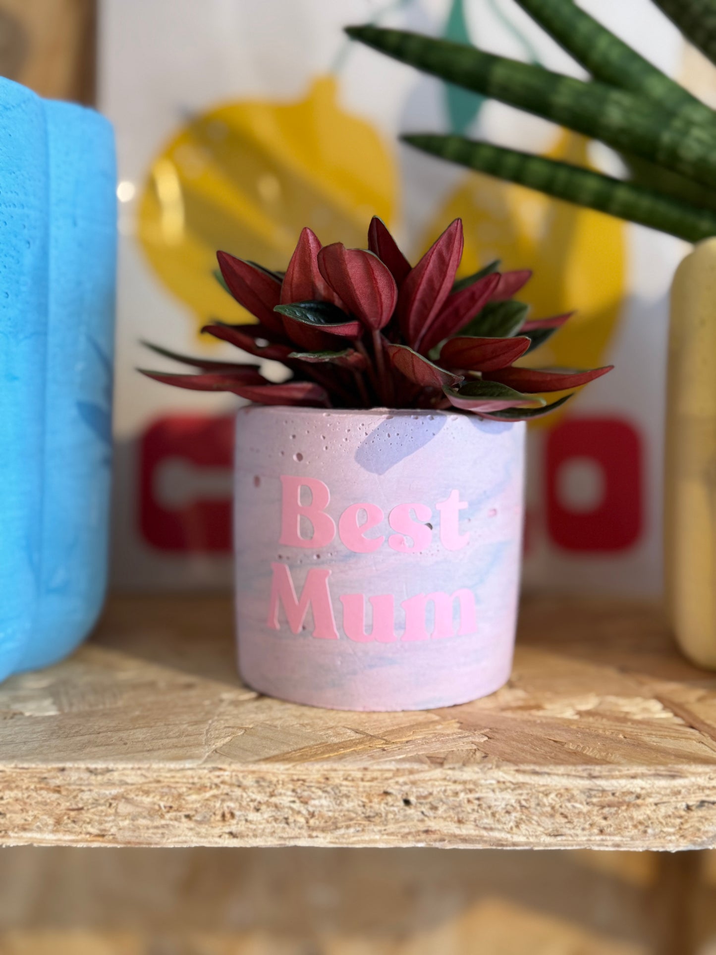 Personalised Pot & Plant