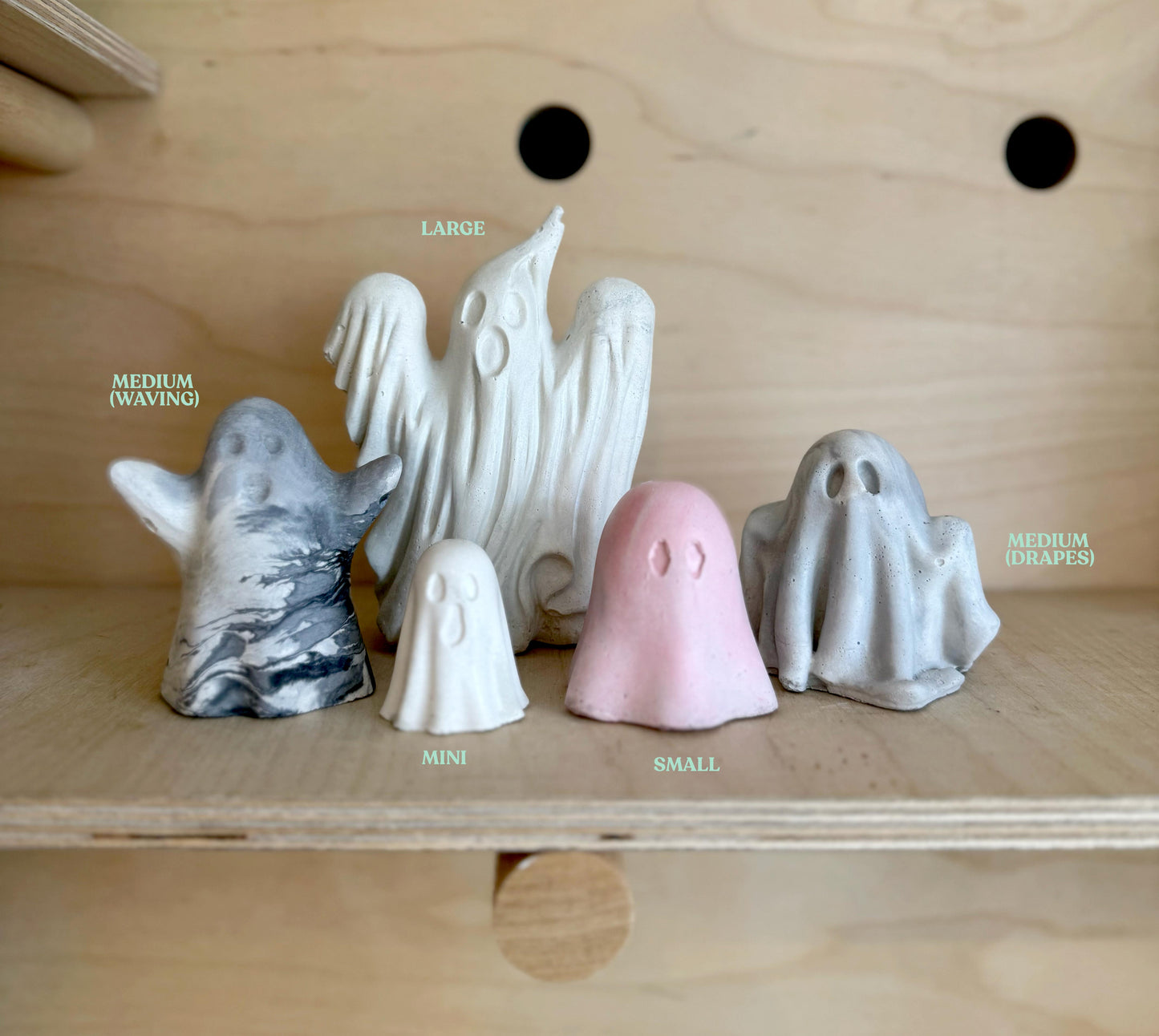 A family of Ghosts