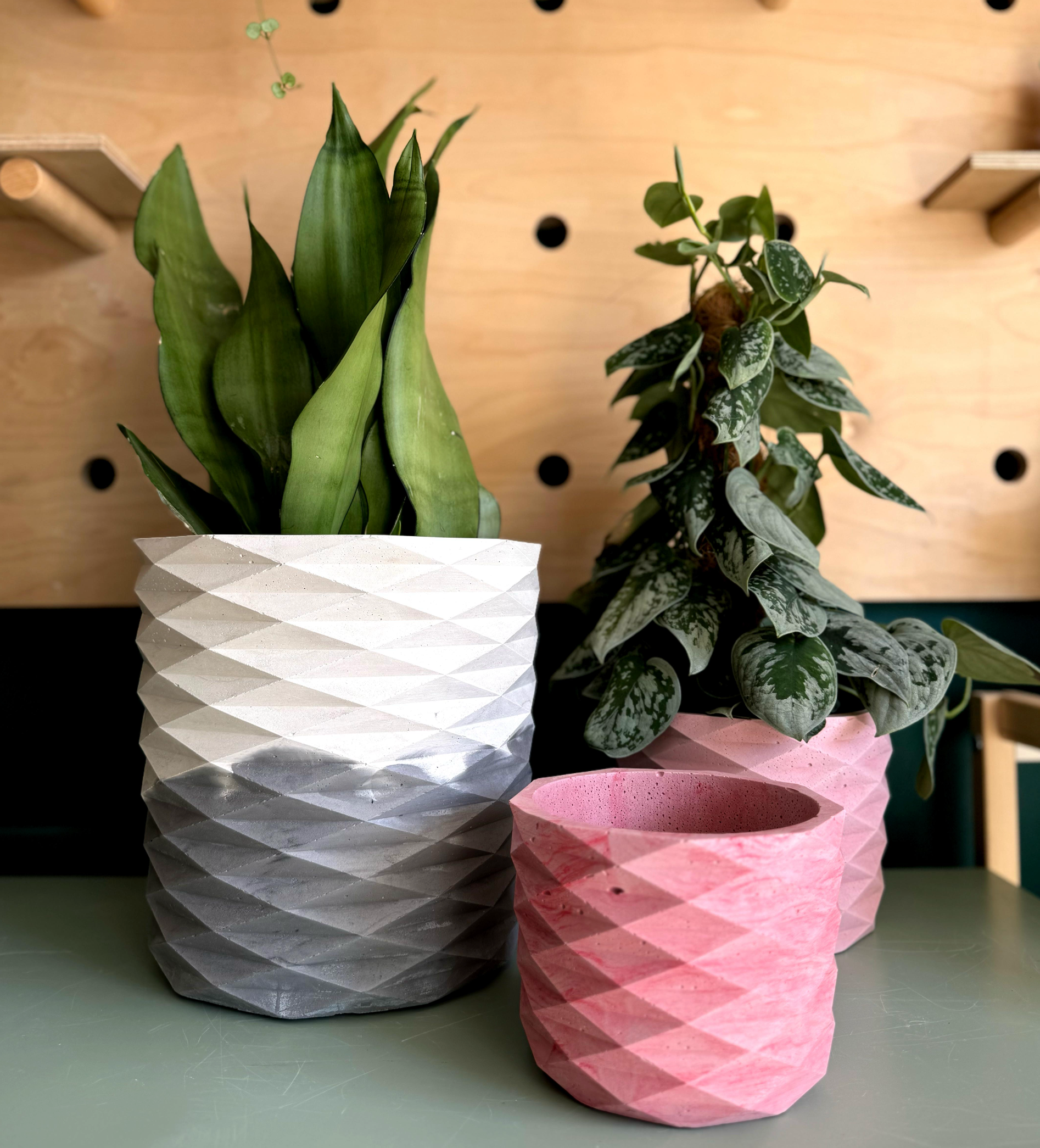 geometric pot plant The Geometric Pot – Concrete & Cacti