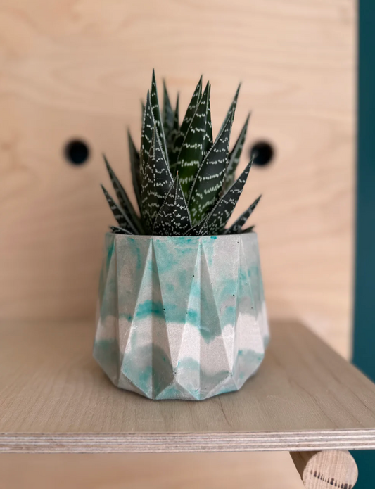 Aloe 'Tiki Tahi'