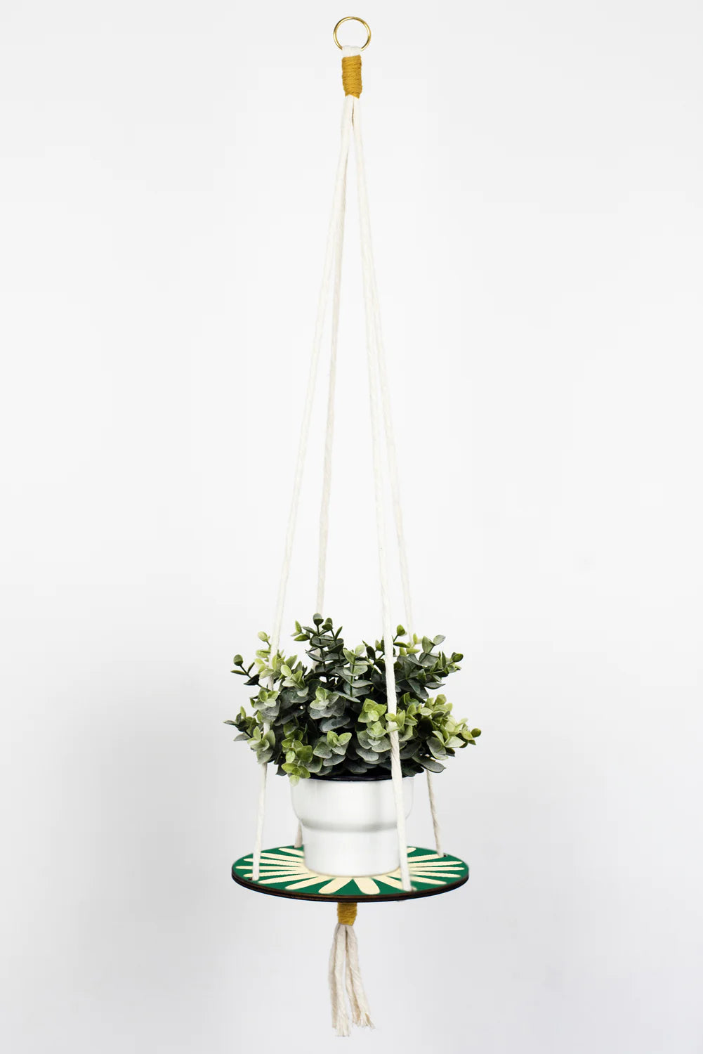 Plant Hanger - Daisy