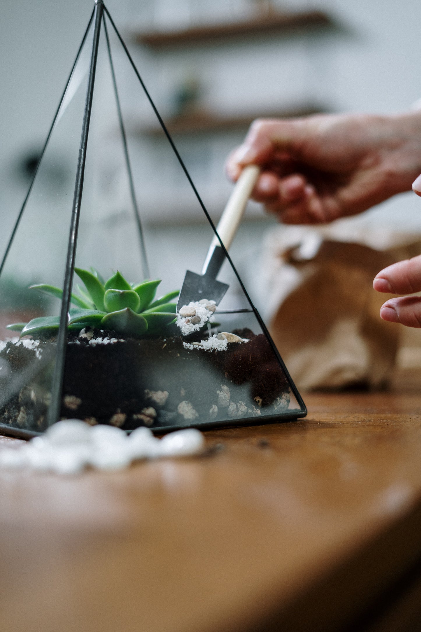 Open Terrarium Workshop