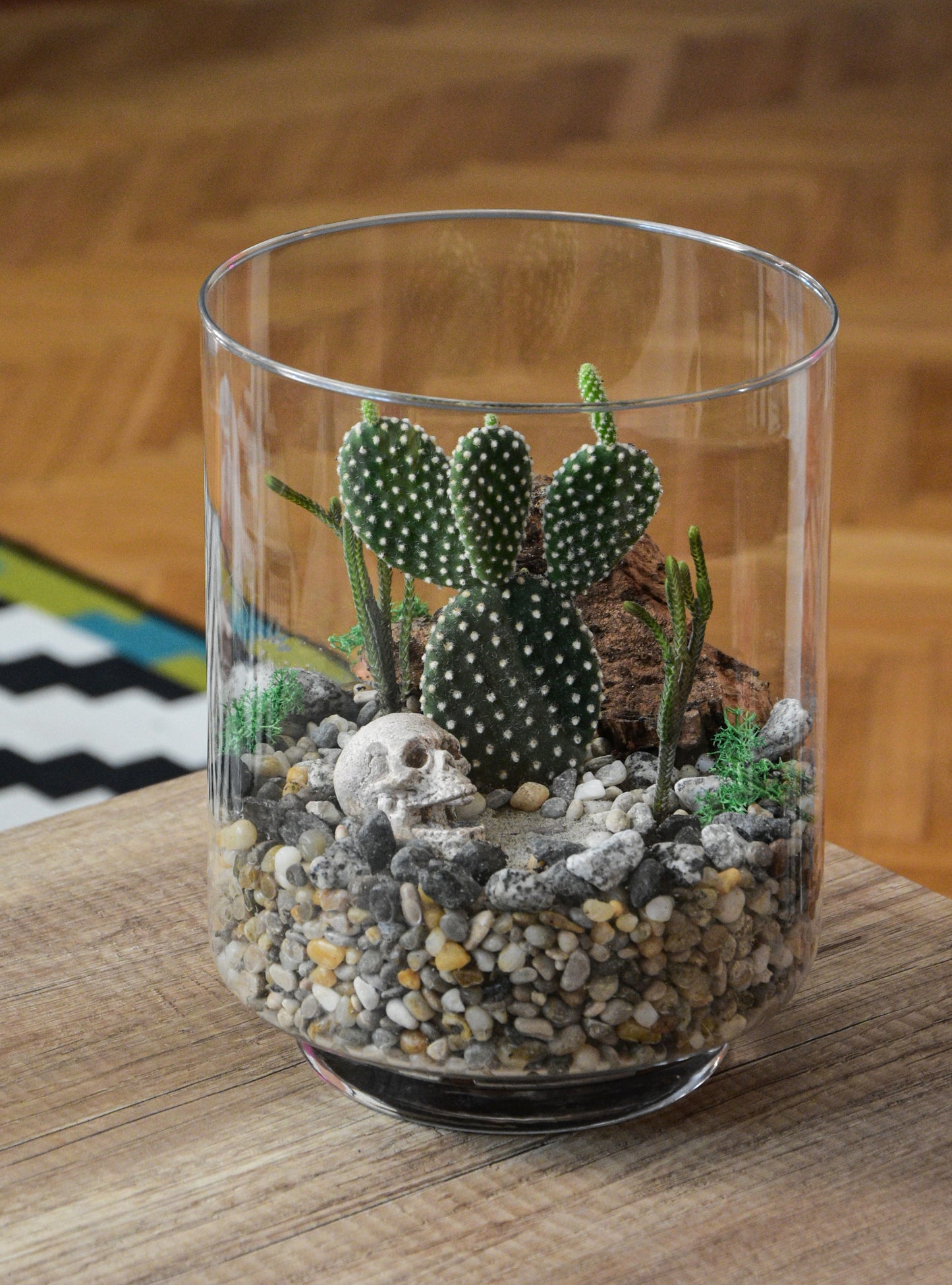 Open Terrarium Workshop