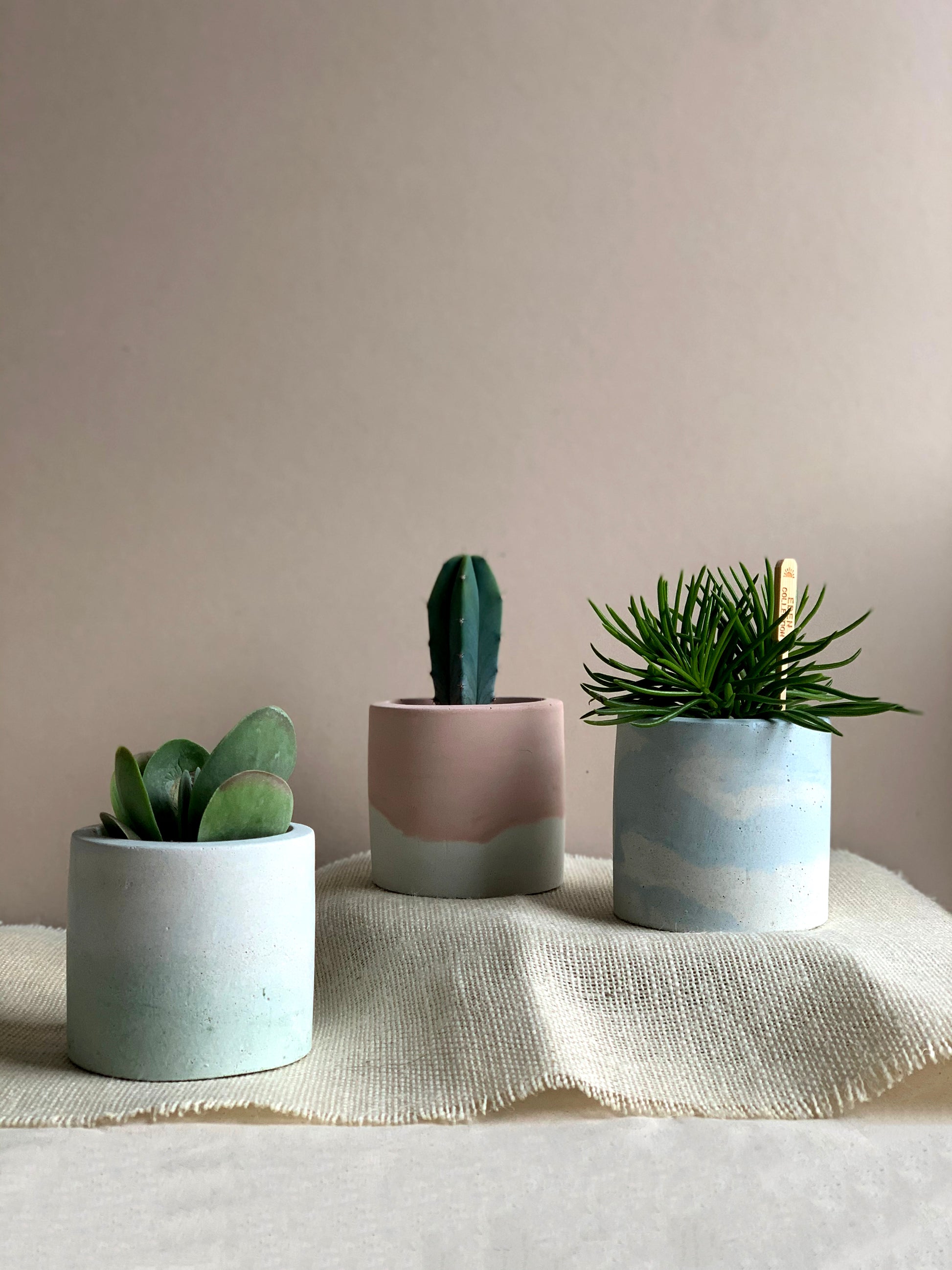 pastel plant pots MIDI Pastel Pot – Concrete & Cacti