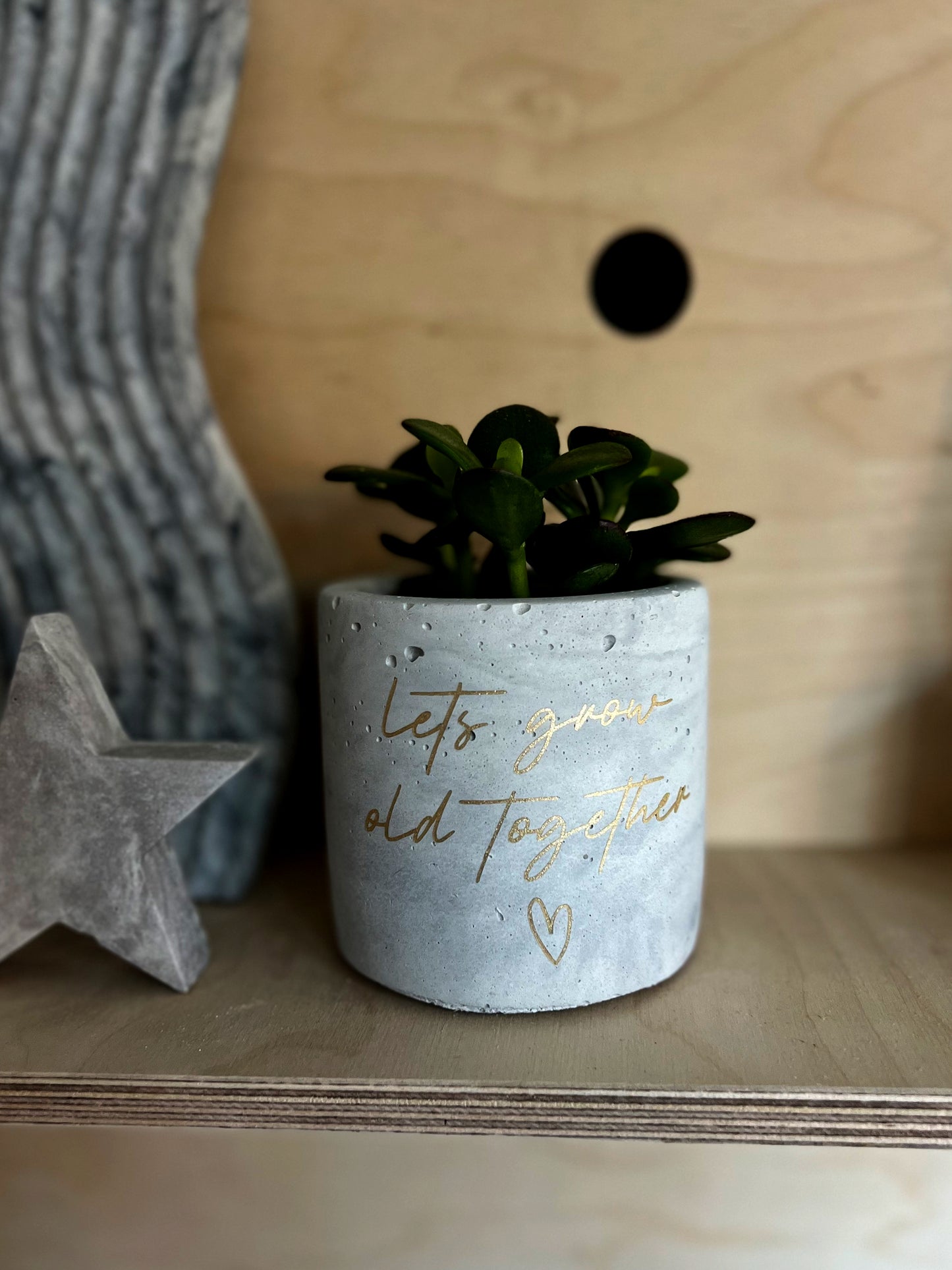 Personalised Concrete Pot & Plant