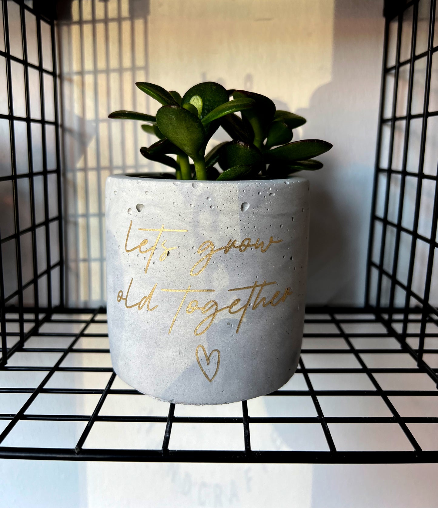 Personalised Concrete Pot & Plant