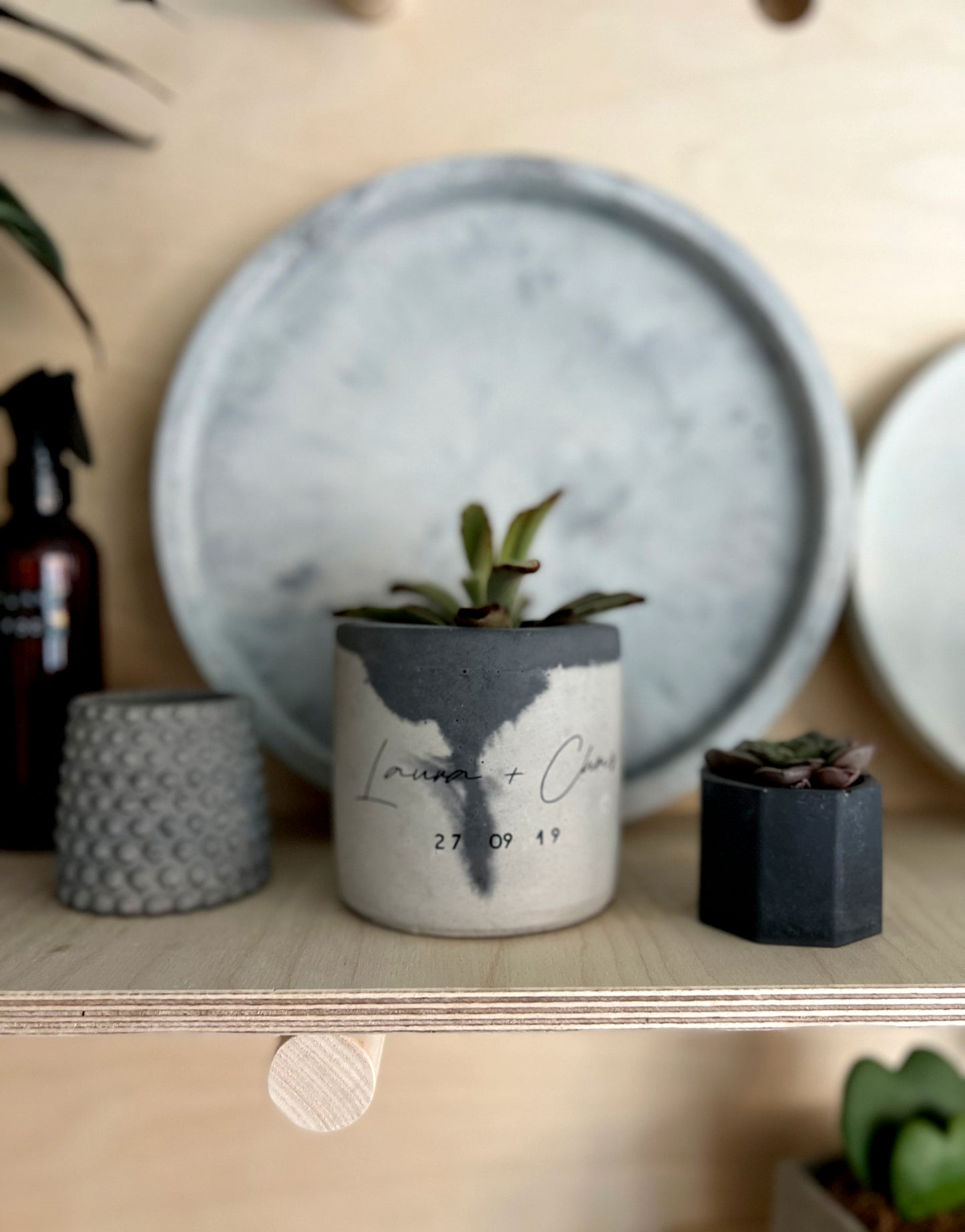 Personalised Concrete Pot & Plant