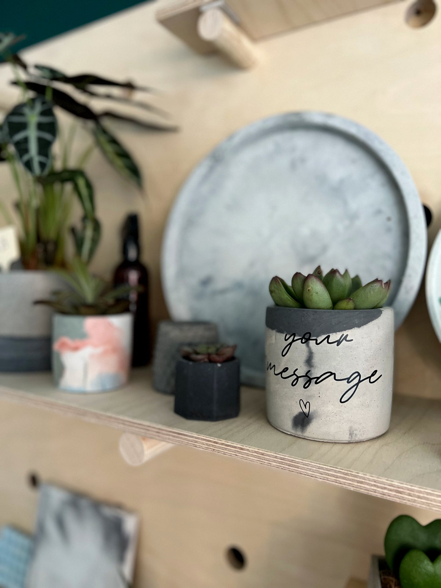 Personalised Concrete Pot & Plant