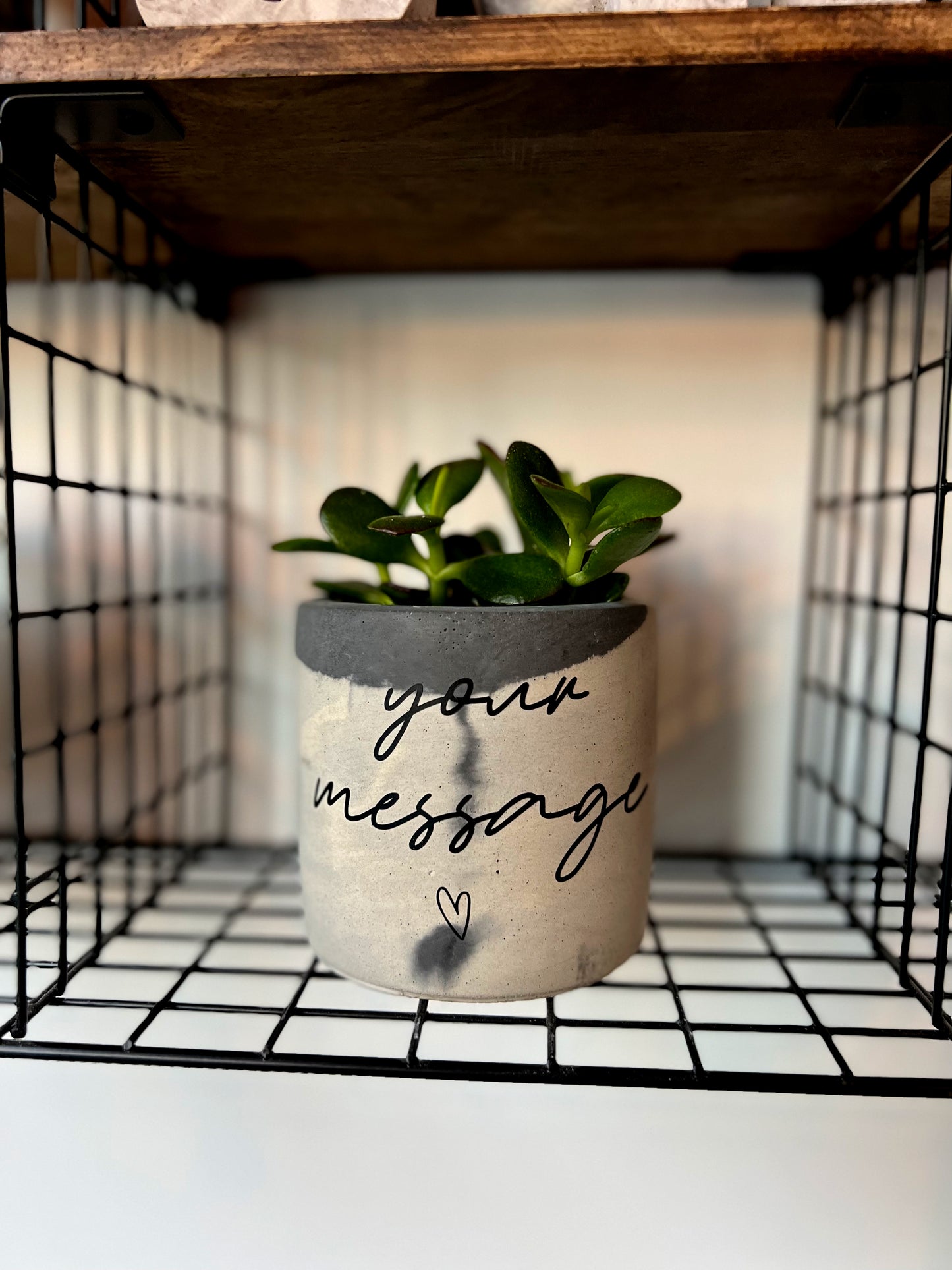 Personalised Concrete Pot & Plant