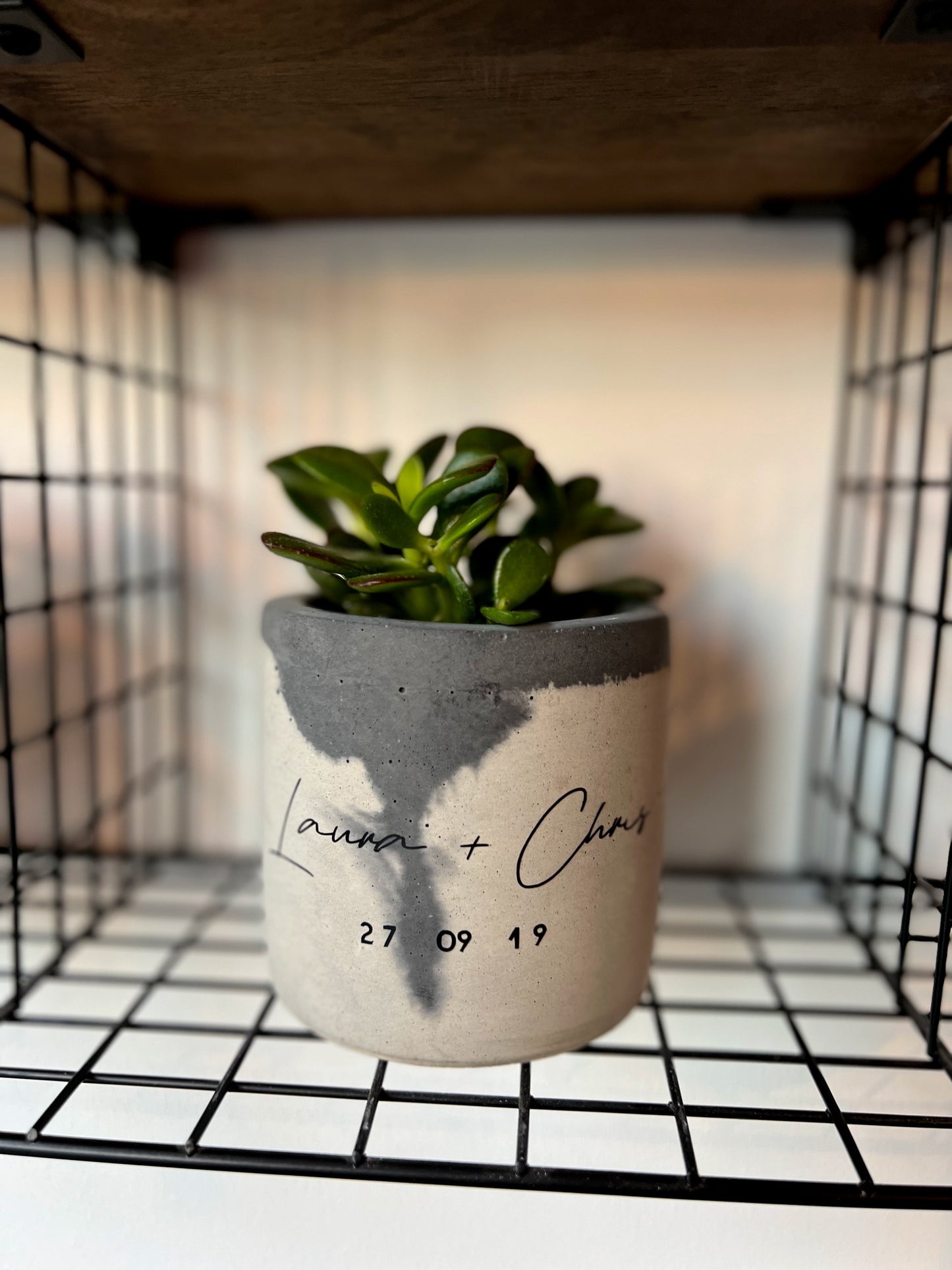 Personalised Concrete Pot & Plant