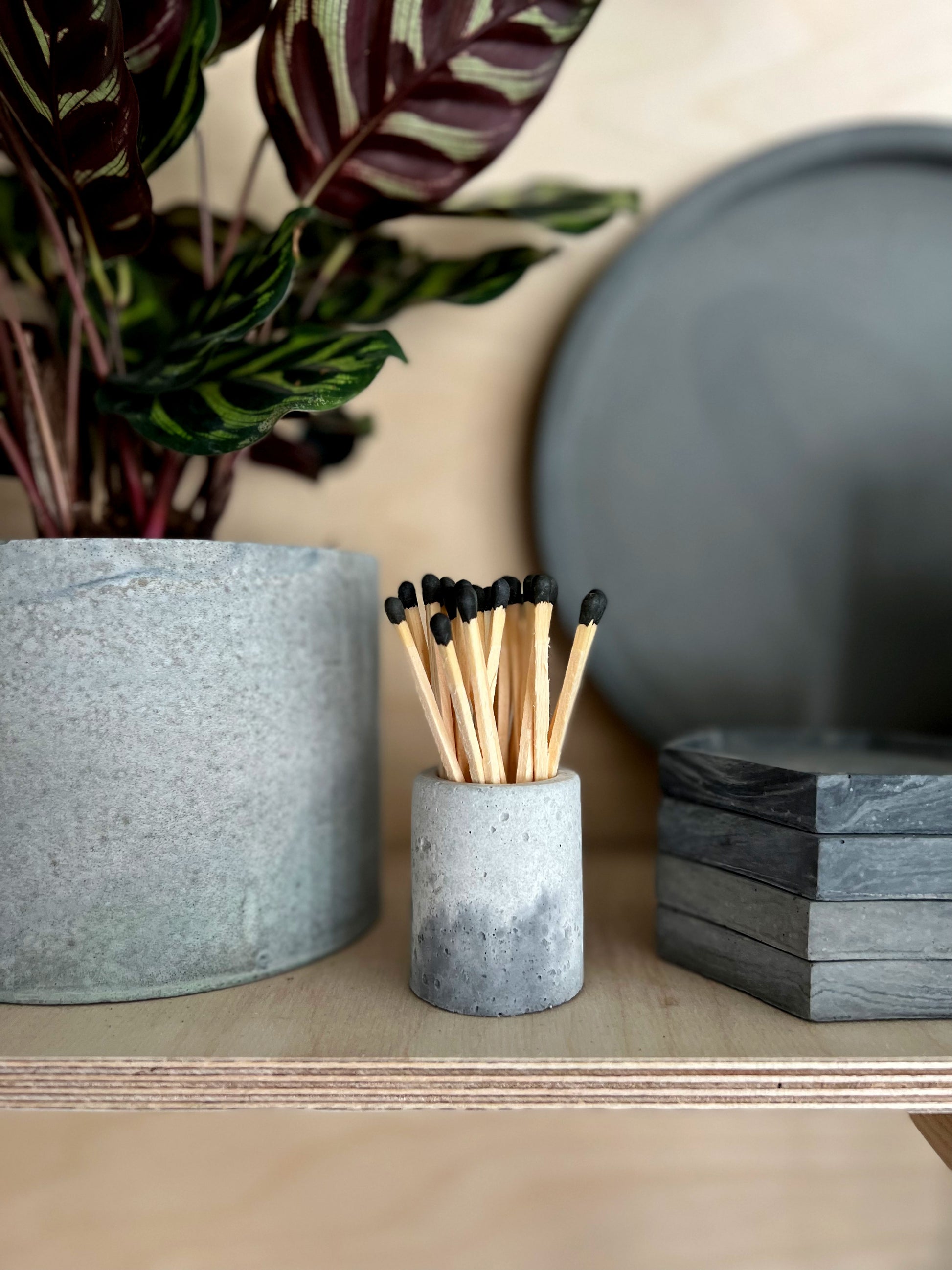 matches in potted plants Mini Match Pot & Matches – Concrete & Cacti