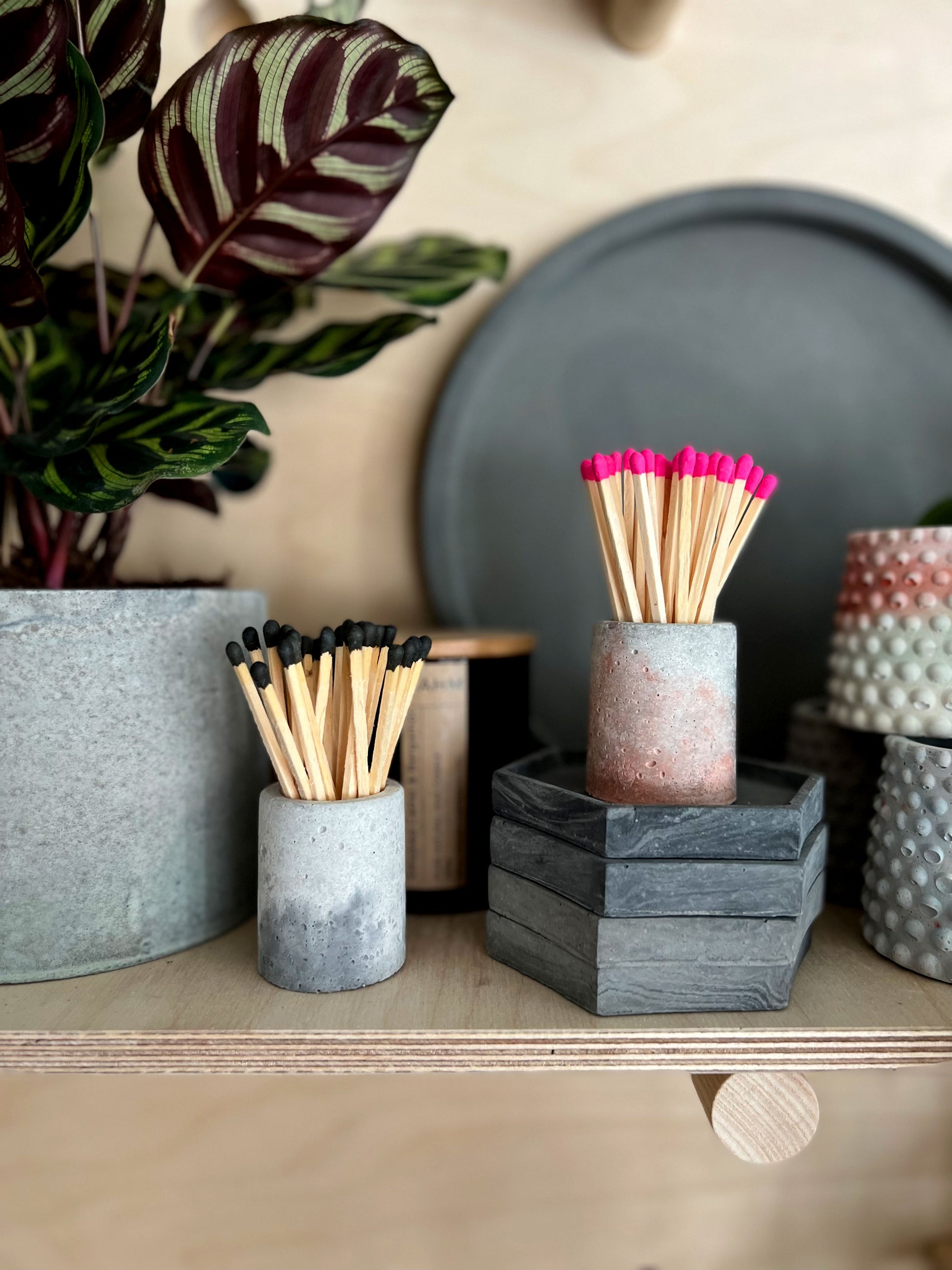 matches in potted plants Mini Match Pot & Matches – Concrete & Cacti