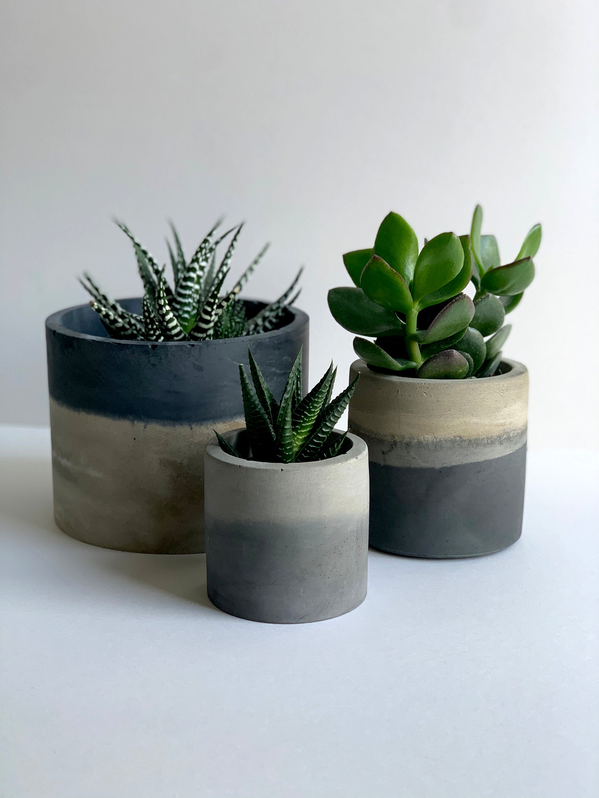 cement pot succulent The Concrete Planters – Concrete & Cacti