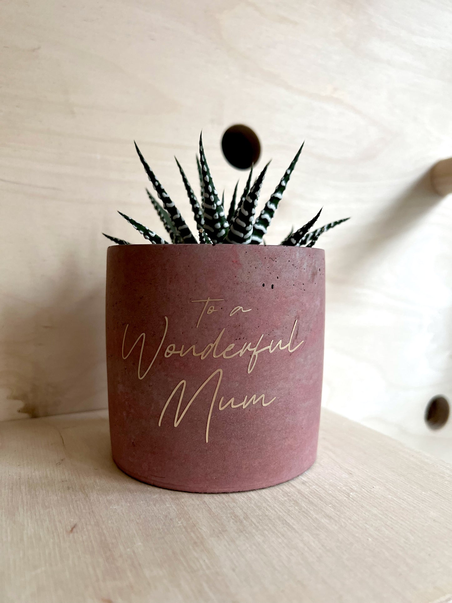 Mother’s Day Planter