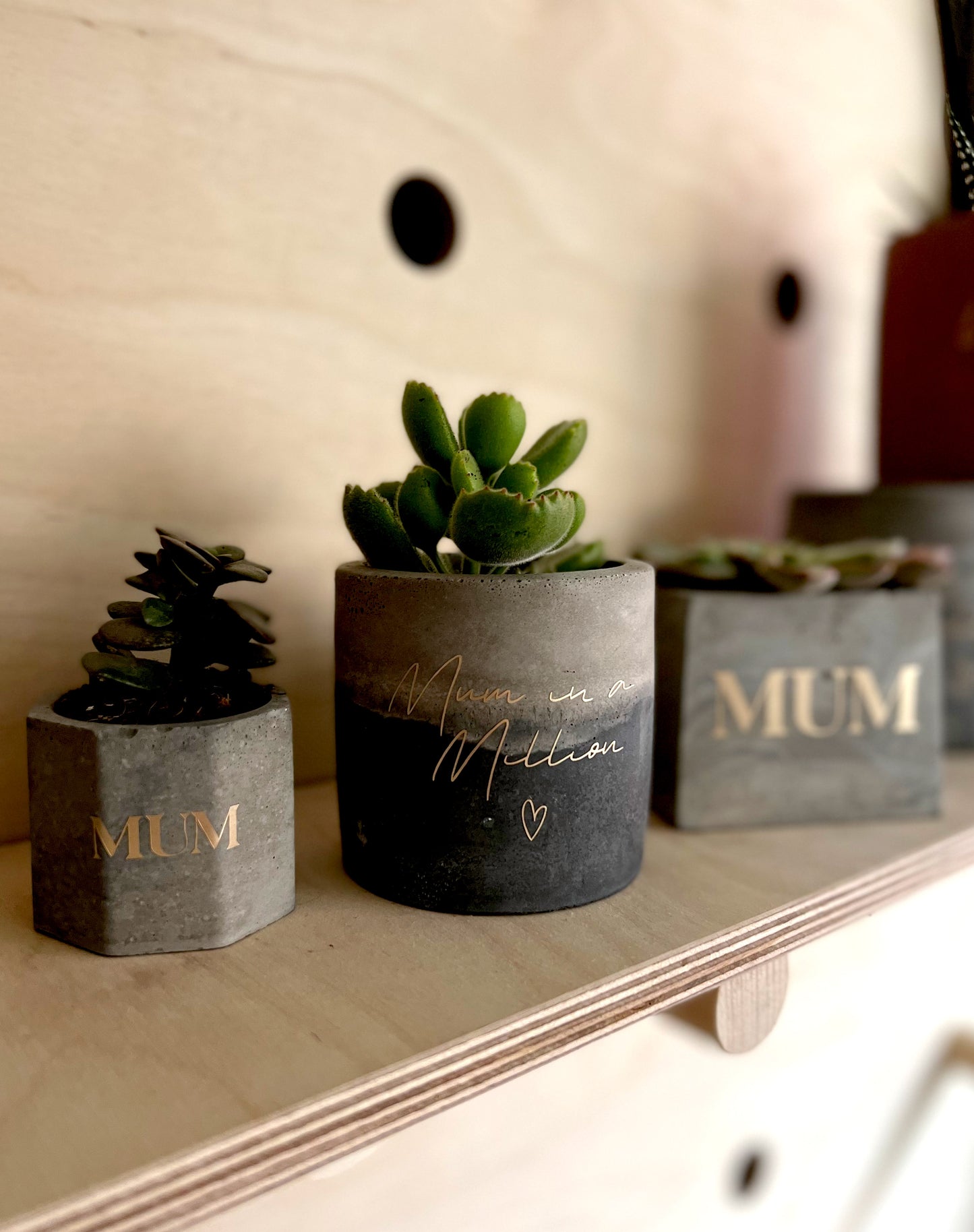 Mother’s Day Planter