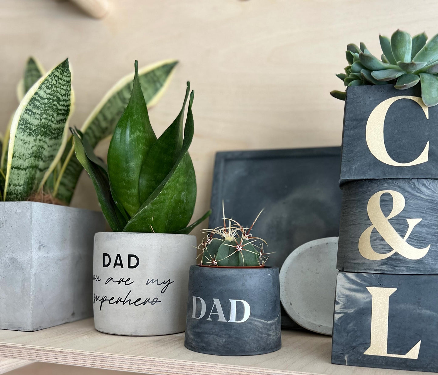 Father's Day Concrete Pot & Plant