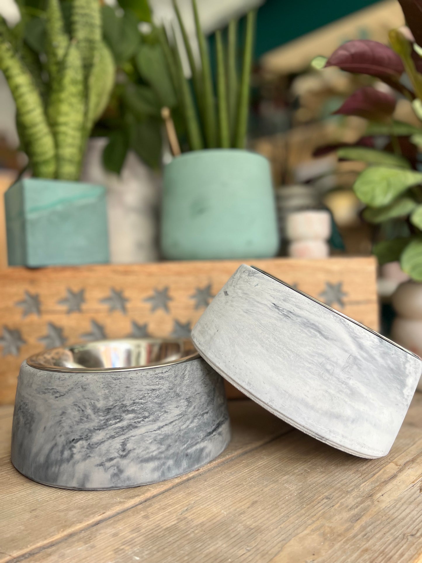 Concrete Dog Bowl