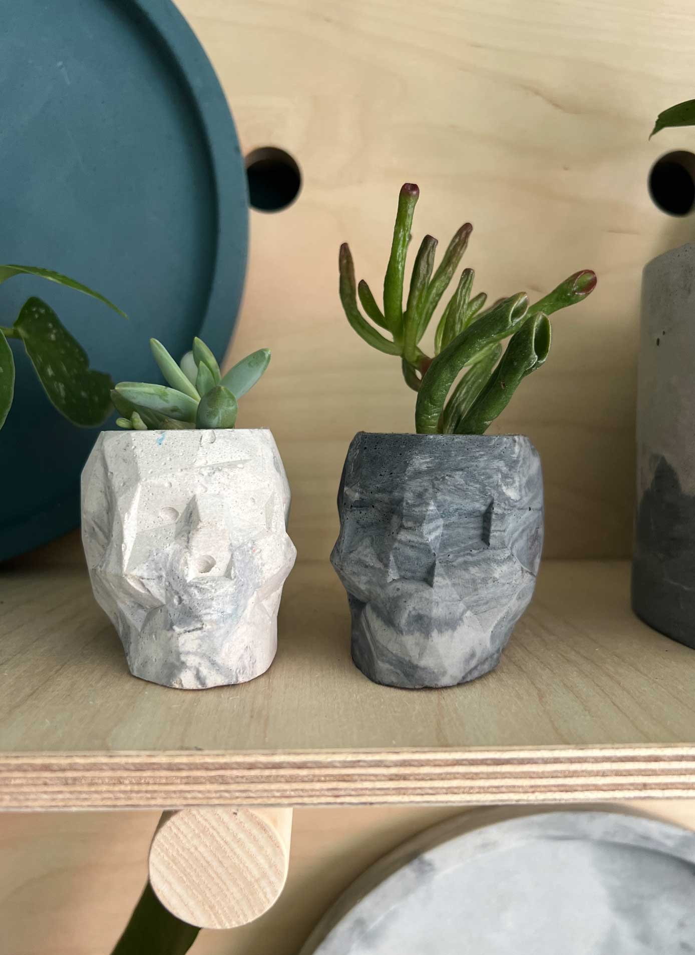 Pots – Concrete & Cacti