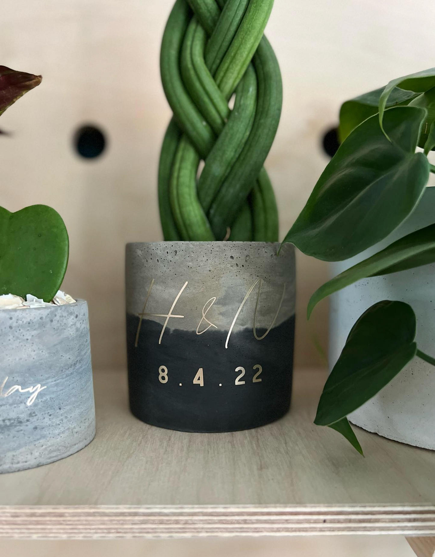 Personalised Concrete Pot & Plant