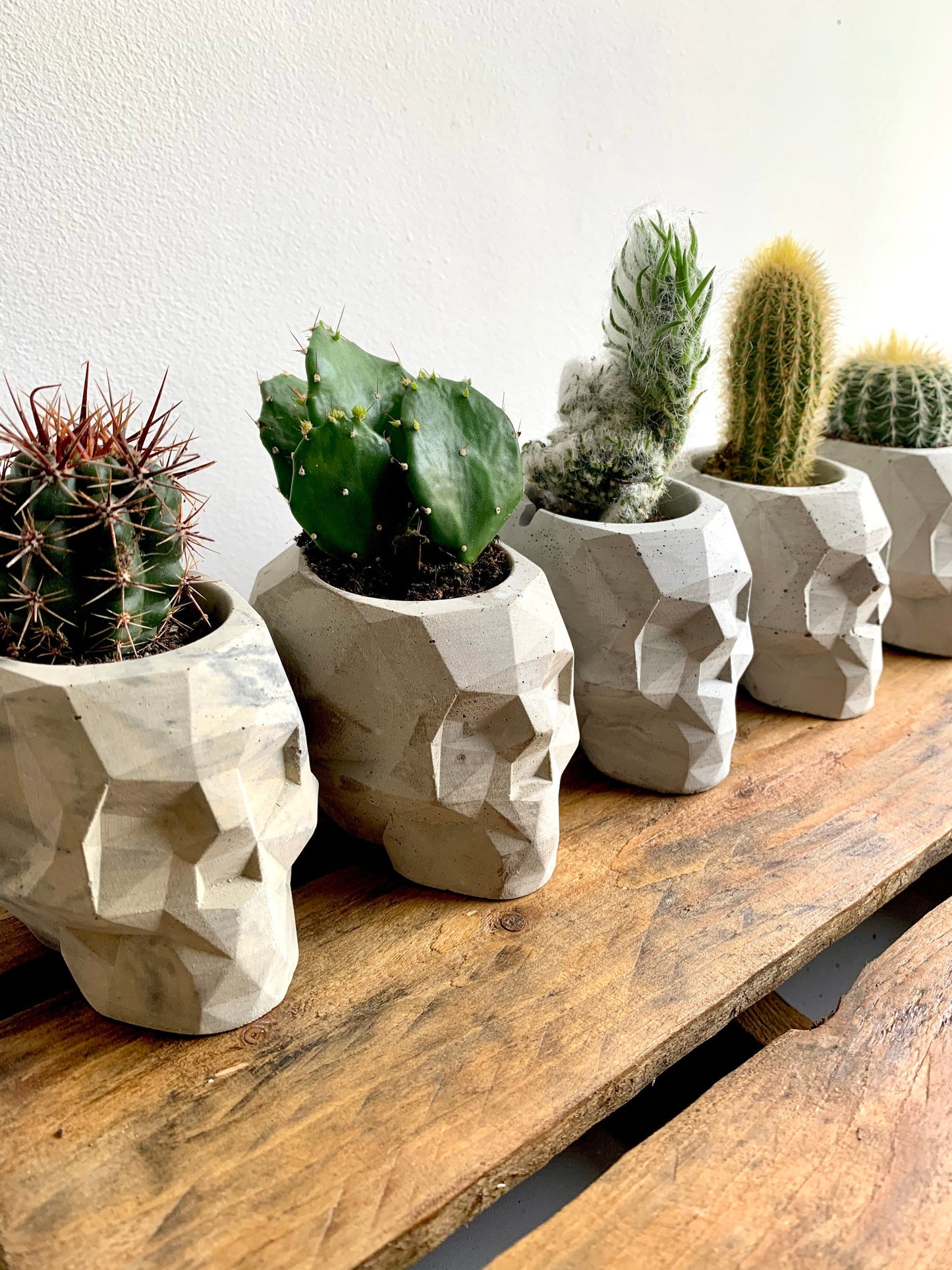 Geometric Skull Planter